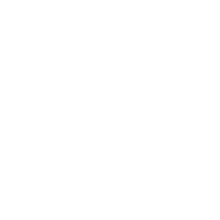 Whatsapp icon