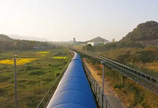 Conveying System Solutions for Specialized Industries