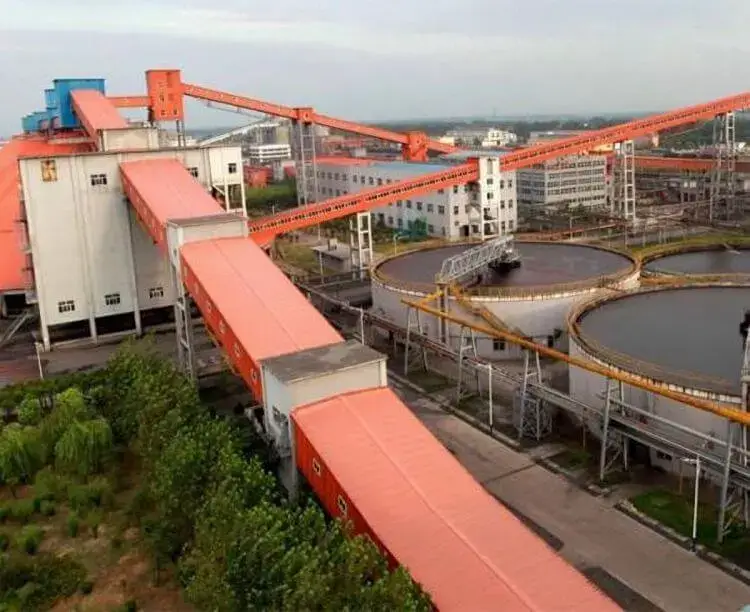 Bulk Material Conveying Solution for Mongolia's Energy and Chemical Industry