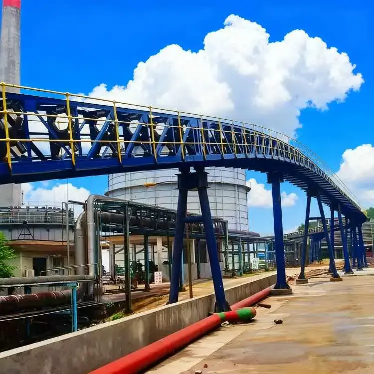 Phosphate Rock Powder Conveying Solution for the Chemical Industry in Yunnan